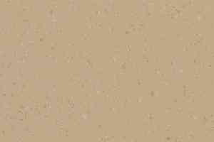 Линолеум Polyflor Palettone Pur Urban-Air-8646 Бежевый фото  | FLOORDEALER